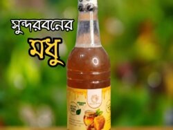 Sundarban Honey Sundarban Honey